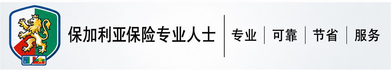 车辆、保险与文件服务说明